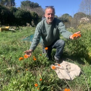 Les plantes ont tant à nous apprendre ! Immersion de plusieurs jours